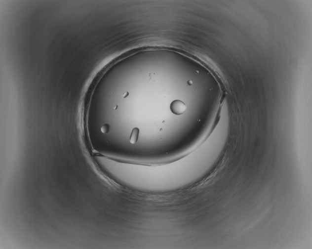 X0000112391128200908271334