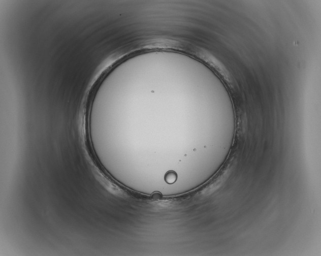 X0000112391130200908271334