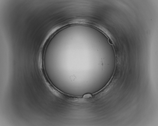 X0000112391131200908271334