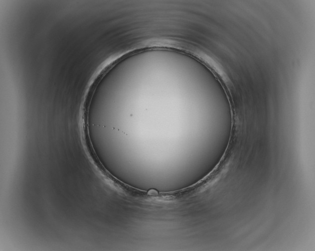 X0000112391133200908271334