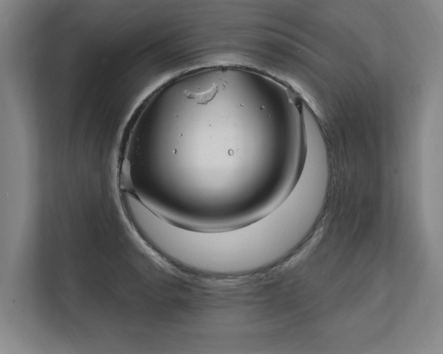 X0000112391134200908271334