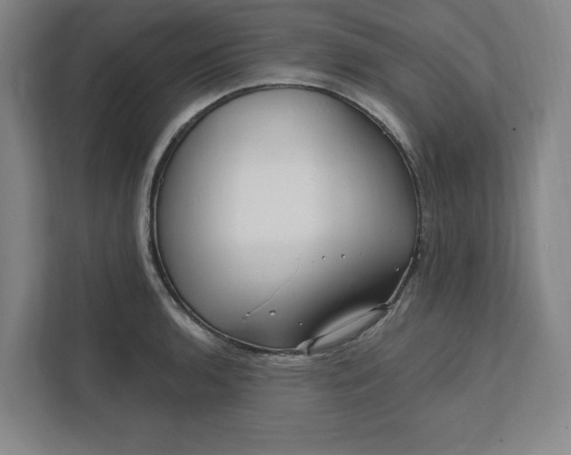 X0000112391136200908271334