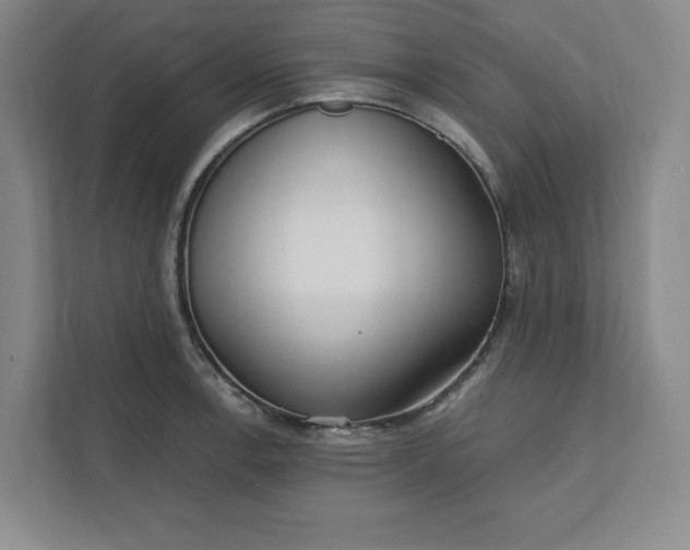 X0000112391138200908271334