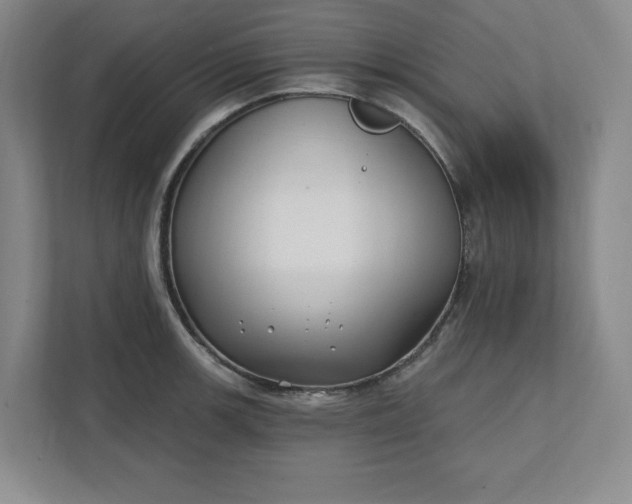 X0000112391139200908271334