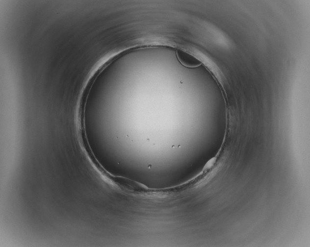 X0000112391141200908271334