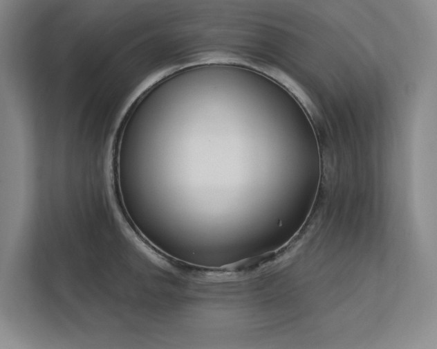 X0000112391142200908271334