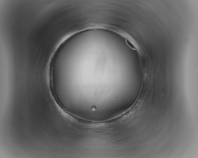 X0000112391143200908271334