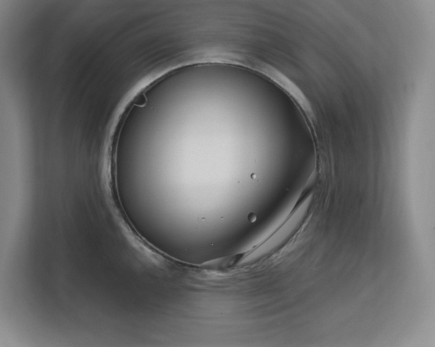 X0000112391144200908271334