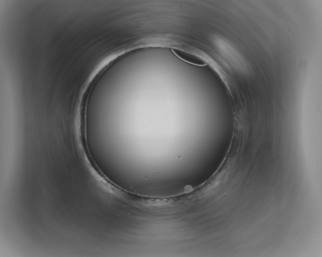 X0000112391147200908271335