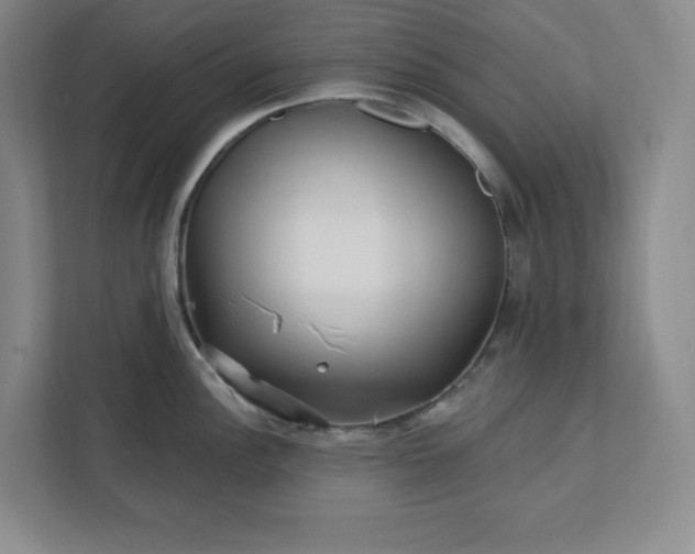 X0000112391148200908271335