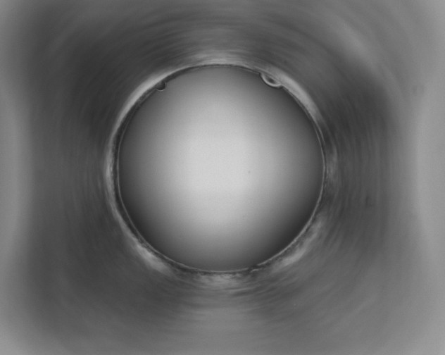 X0000112391149200908271335