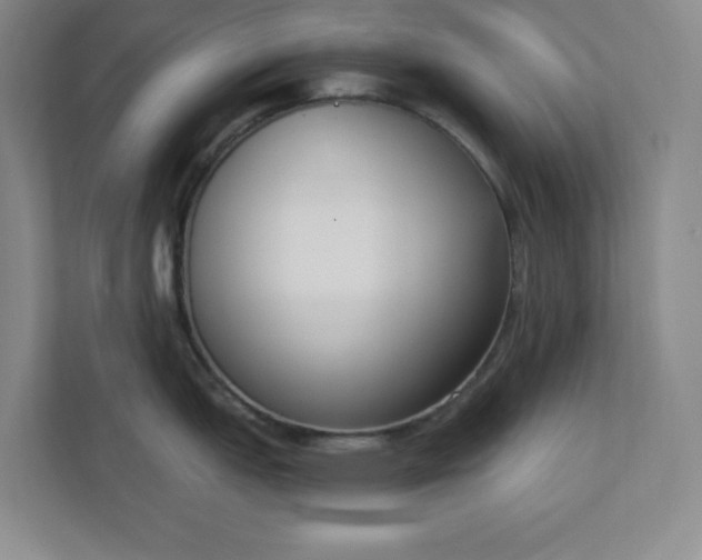 X0000112391151200908271335