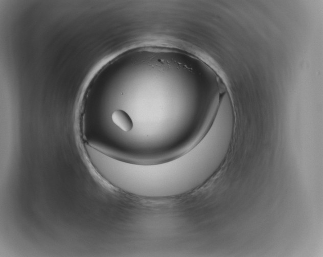 X0000112391152200908271335