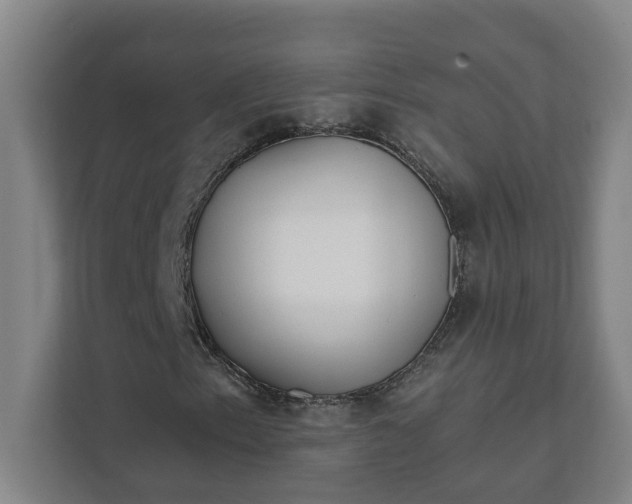 X0000112391153200908271334