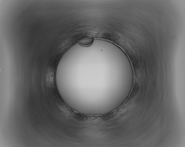 X0000112391154200908271334