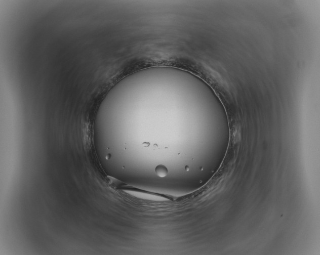 X0000112391156200908271334