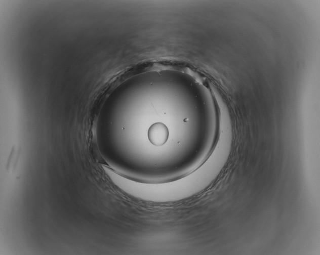 X0000112391157200908271334