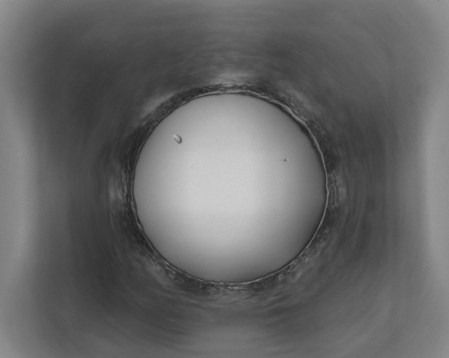 X0000112391158200908271334