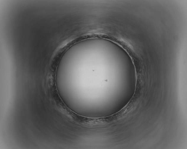 X0000112391159200908271334