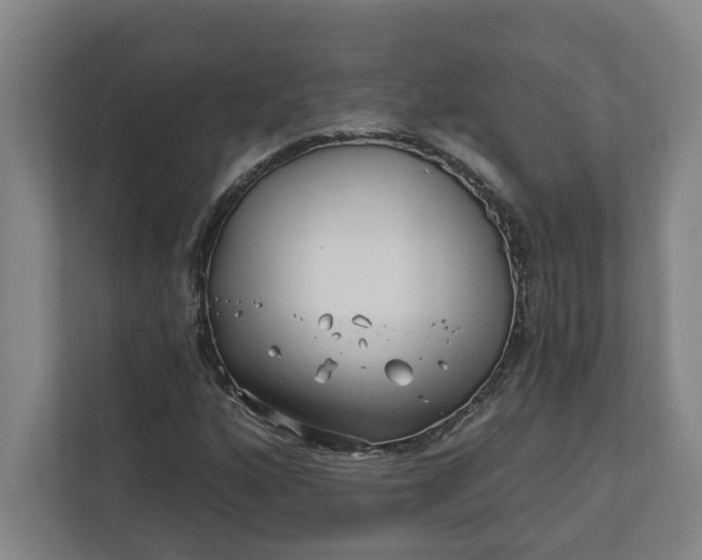 X0000112391160200908271334