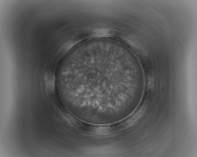 X0000112391161200908271334