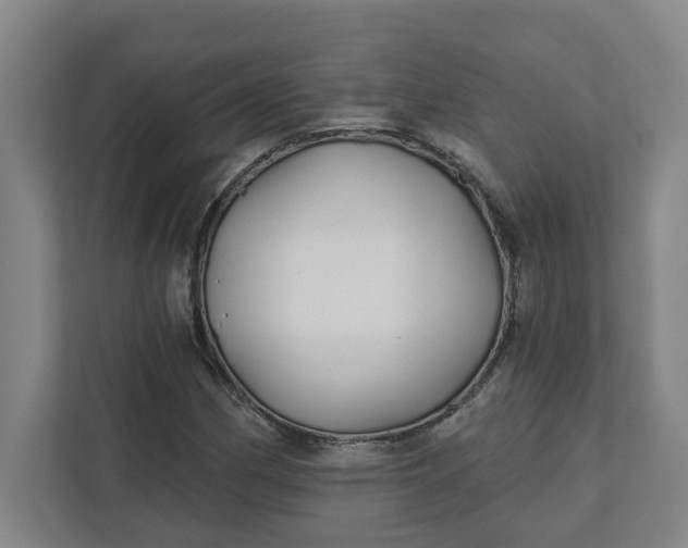 X0000112391162200908271334