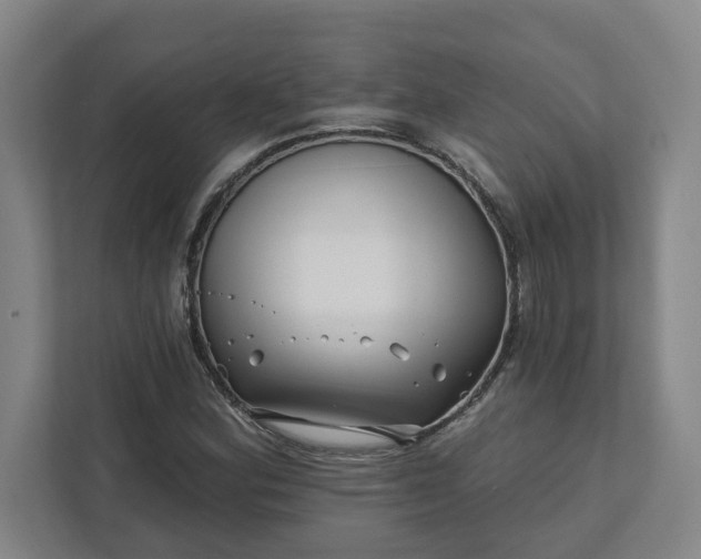 X0000112391164200908271334