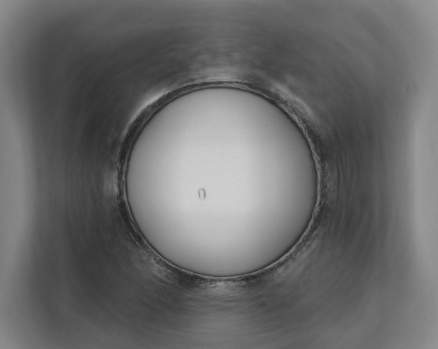 X0000112391166200908271334