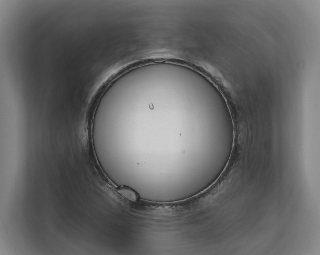 X0000112391167200908271334