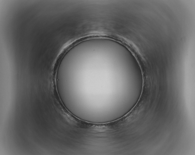 X0000112391168200908271334