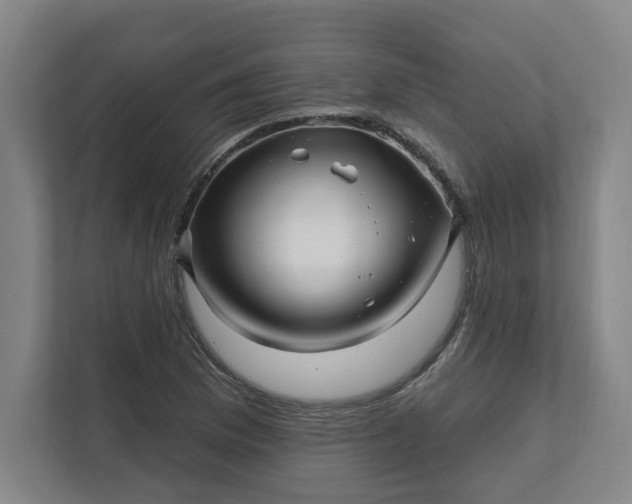 X0000112391169200908271334