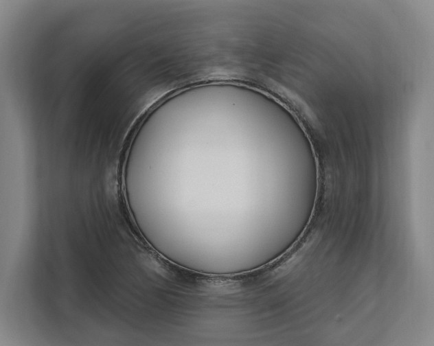 X0000112391170200908271334