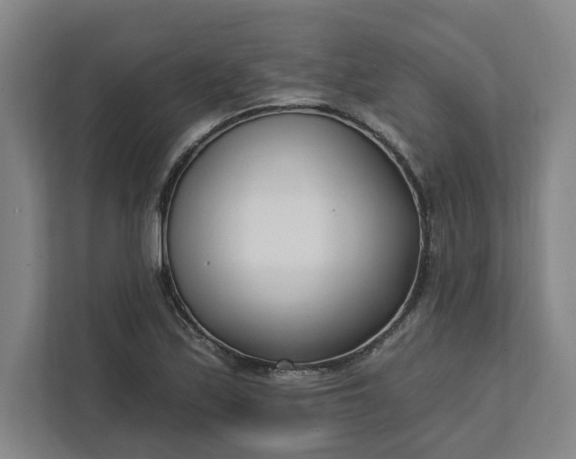 X0000112391171200908271334