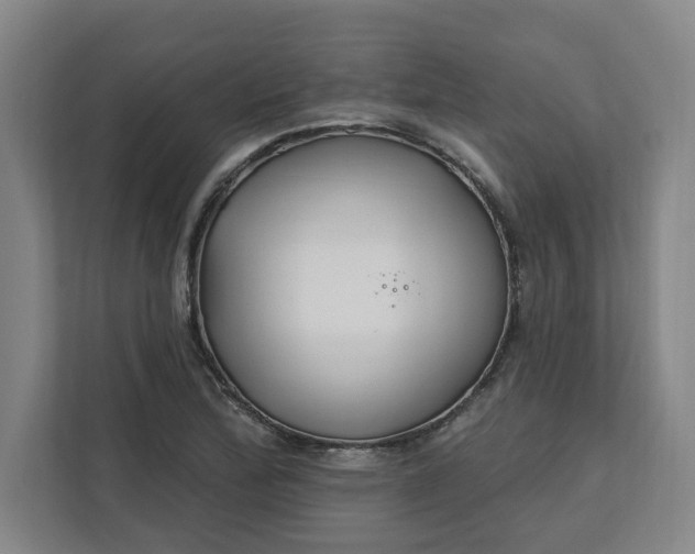 X0000112391172200908271334