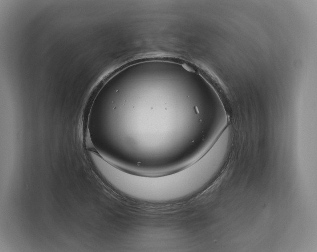 X0000112391173200908271334