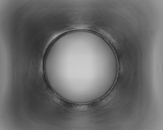 X0000112391174200908271334