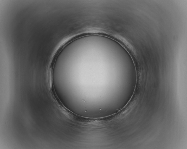 X0000112391175200908271334