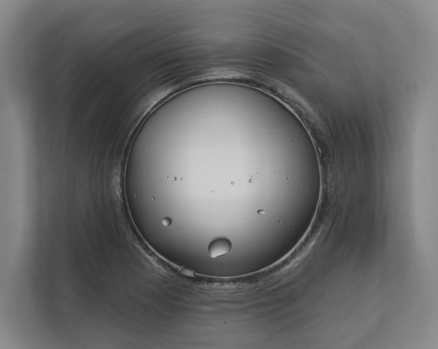 X0000112391177200908271334