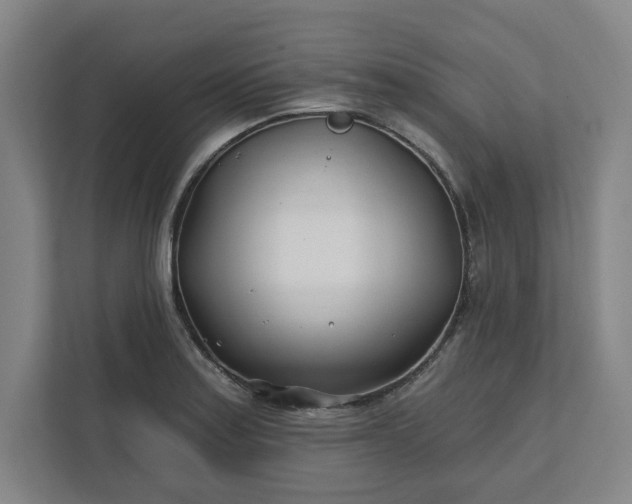 X0000112391179200908271334