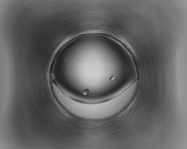 X0000112391181200908271334