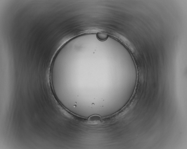 X0000112391186200908271334