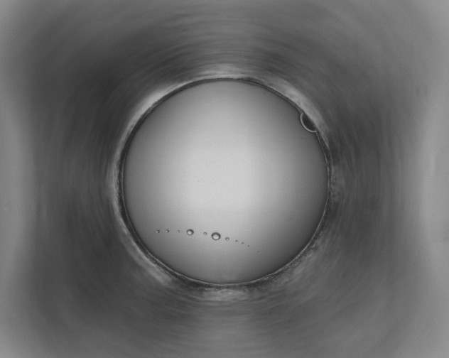 X0000112391187200908271334