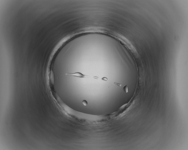 X0000112391188200908271333