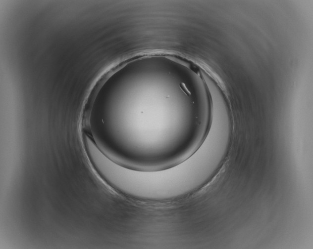 X0000112391189200908271333