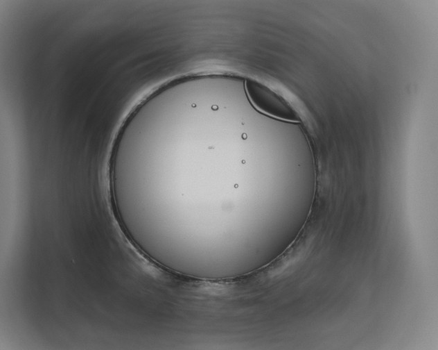 X0000112391191200908271333