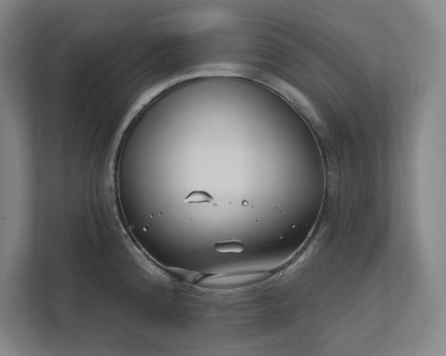 X0000112391192200908271333