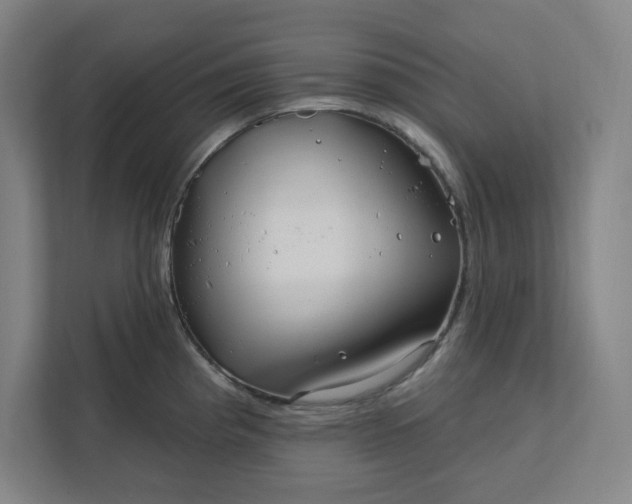 X0000112391193200908271333