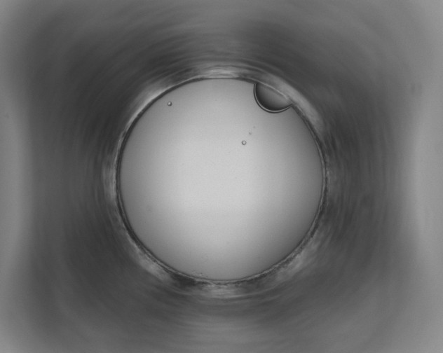 X0000112391194200908271333