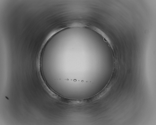 X0000112391195200908271333