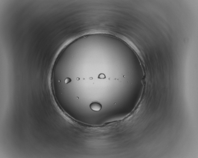 X0000112391197200908271333